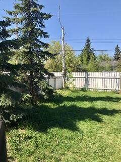Backyard at 11121 13 Street